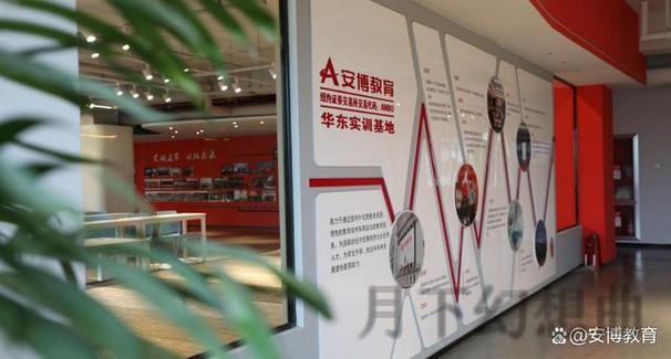 安博综合版：全面解析与应用指南